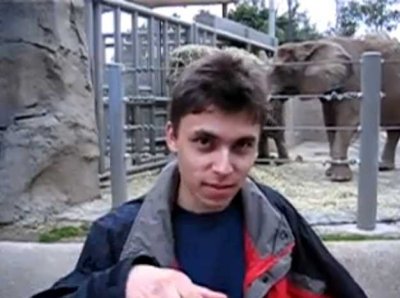 the-first-video-posted-to-the-site-me-at-the-zoo-was-only-19-seconds-long